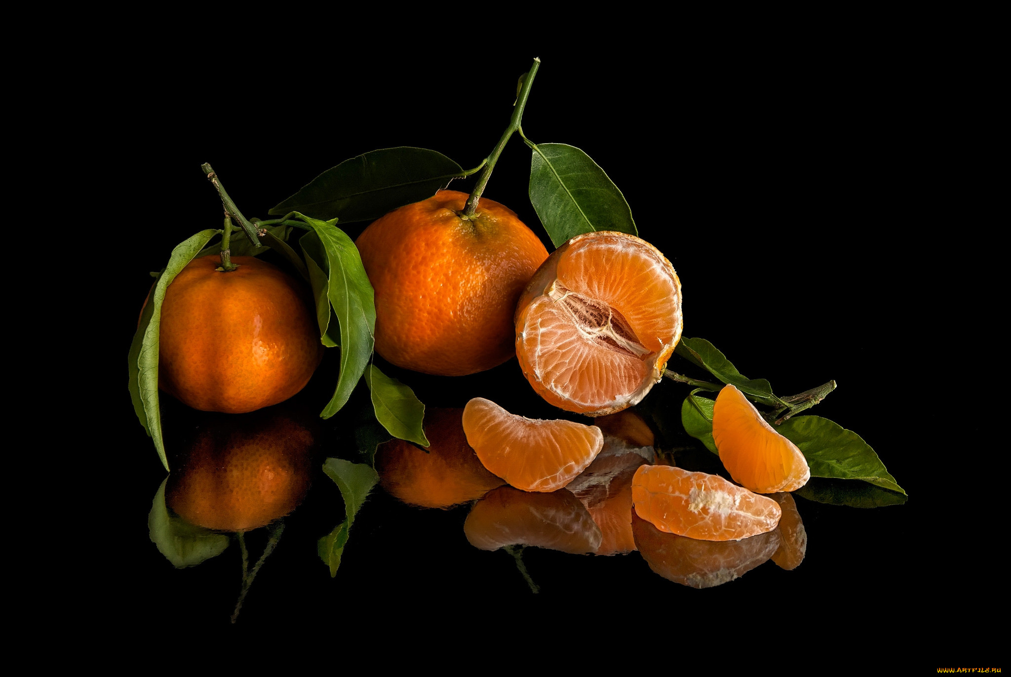 , , 